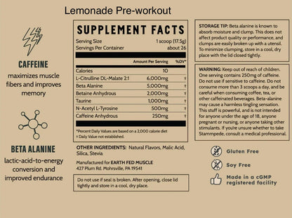 Workout Lemon Zing